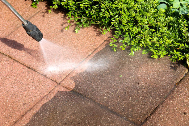 Best Pressure Washing Near Me  in Prince Frederick, MD